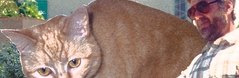 1996